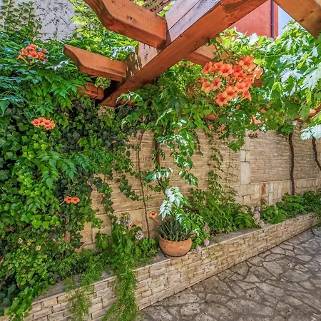 Anna Varos By Interhome * Split